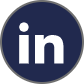 instaIcon