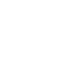 play_video